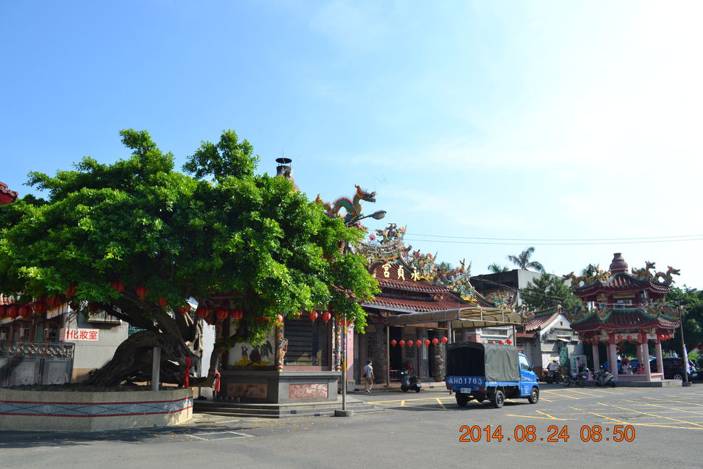 DSC_0008 DSC_0008