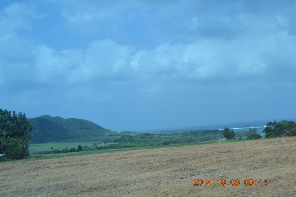 DSC_0261 DSC_0261