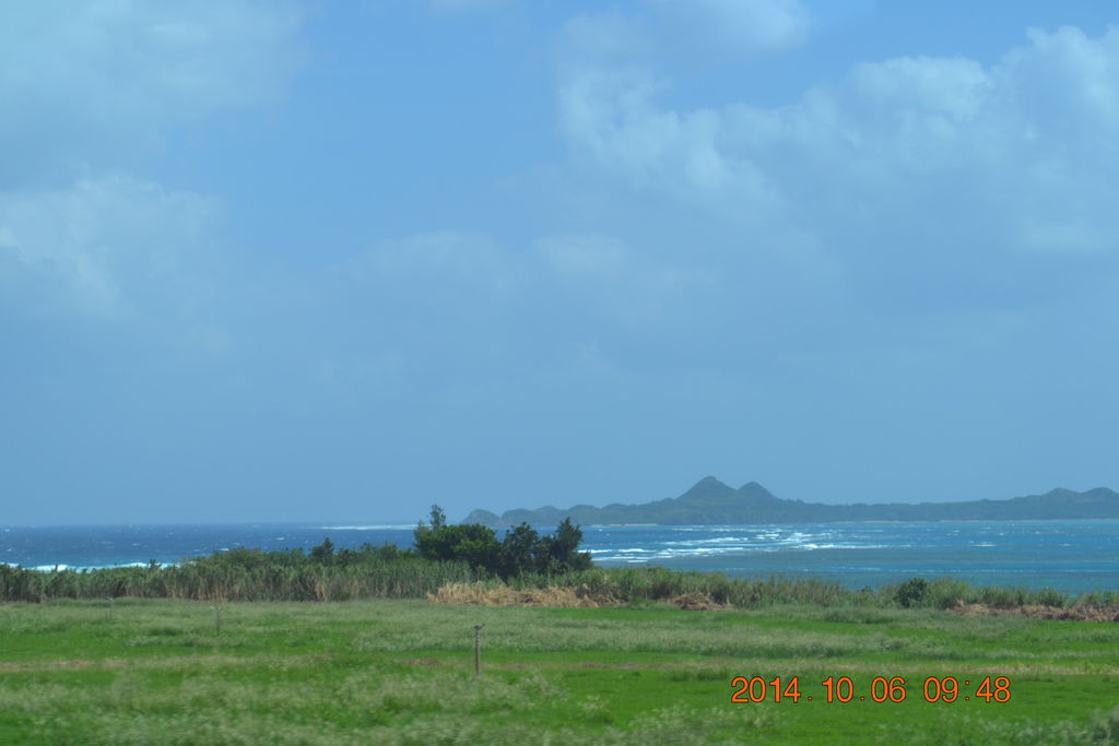 DSC_0277 DSC_0277