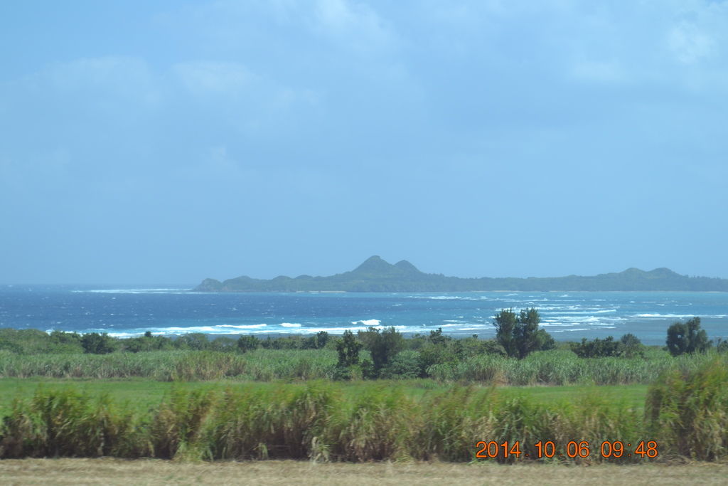 DSC_0279 DSC_0279