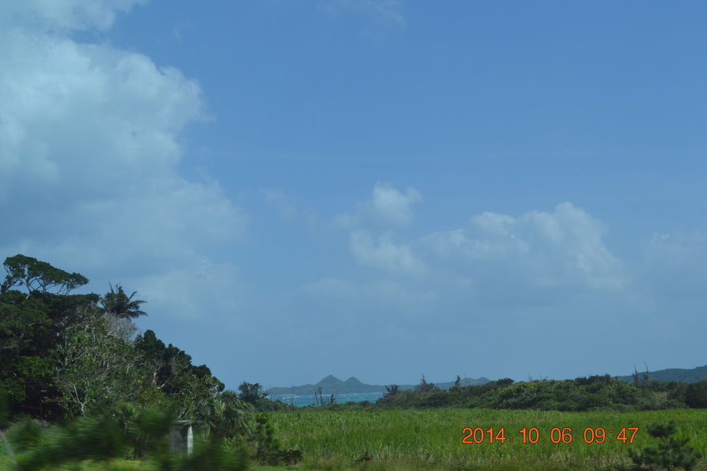 DSC_0272 DSC_0272