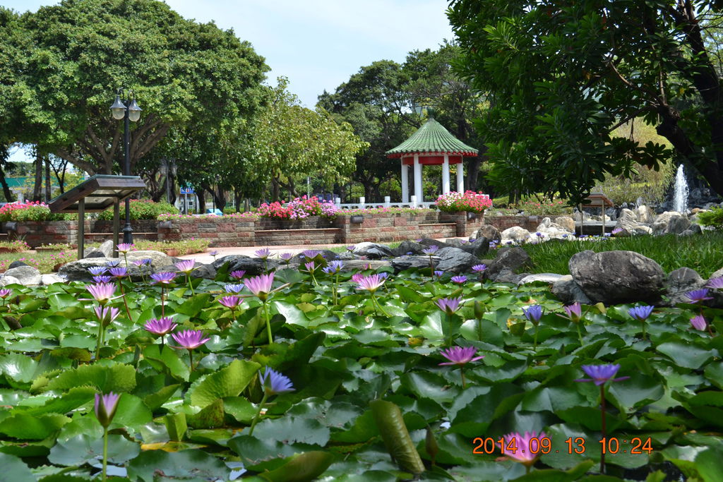 DSC_0051 DSC_0051
