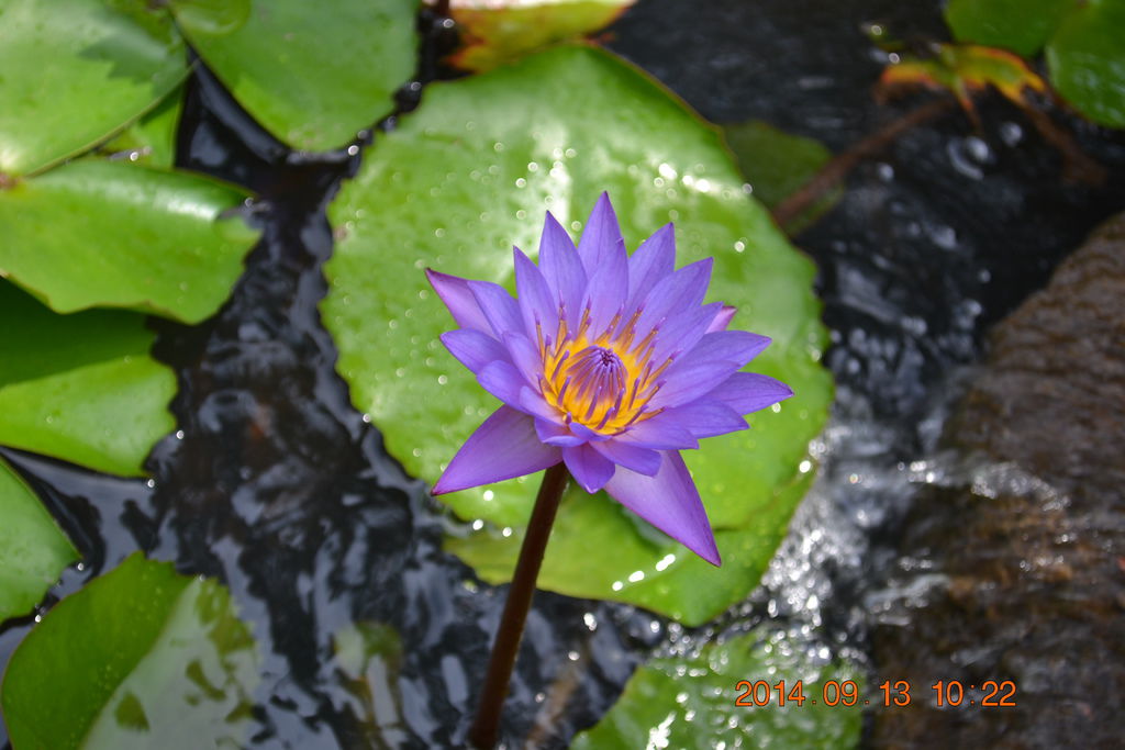 DSC_0045 DSC_0045