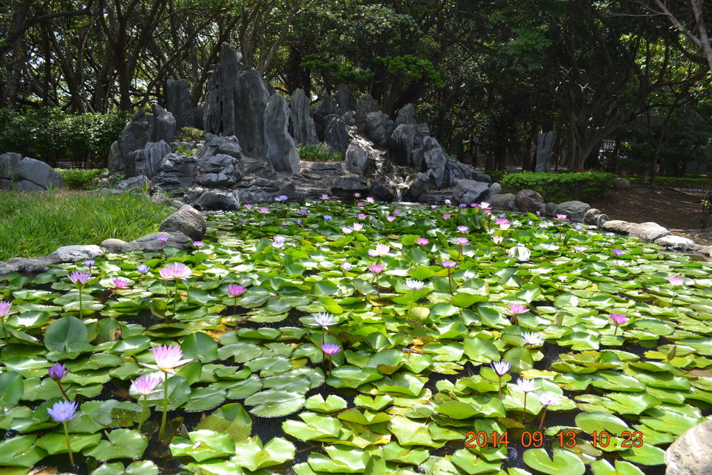 DSC_0047 DSC_0047