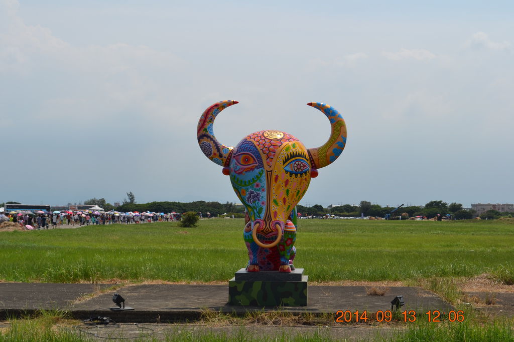 DSC_0100 DSC_0100