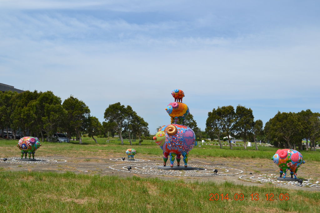 DSC_0101 DSC_0101