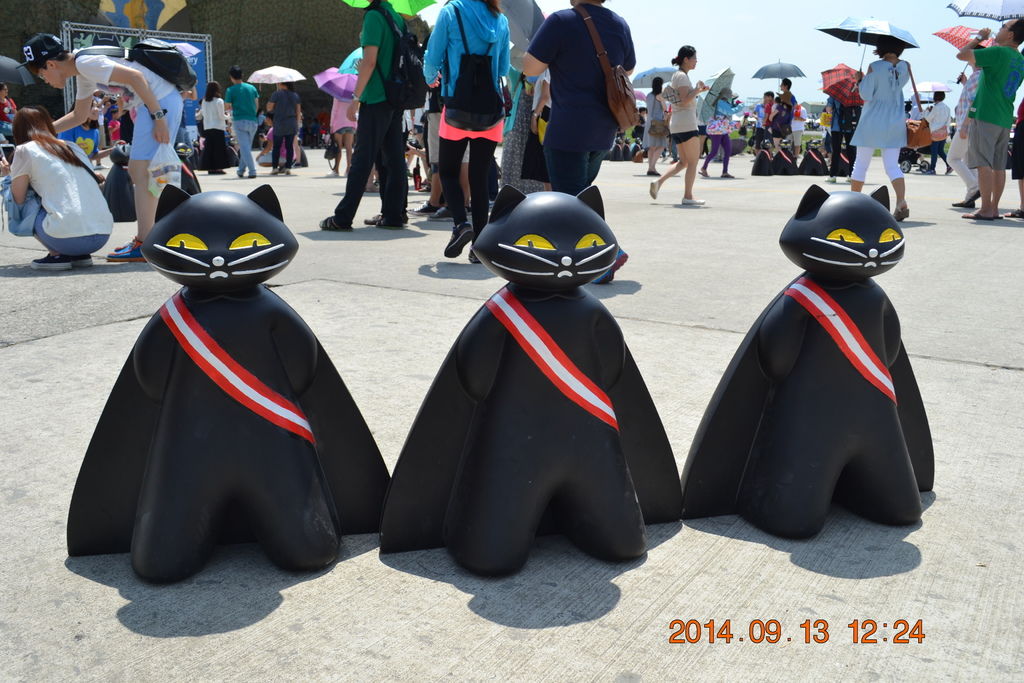 DSC_0131 DSC_0131