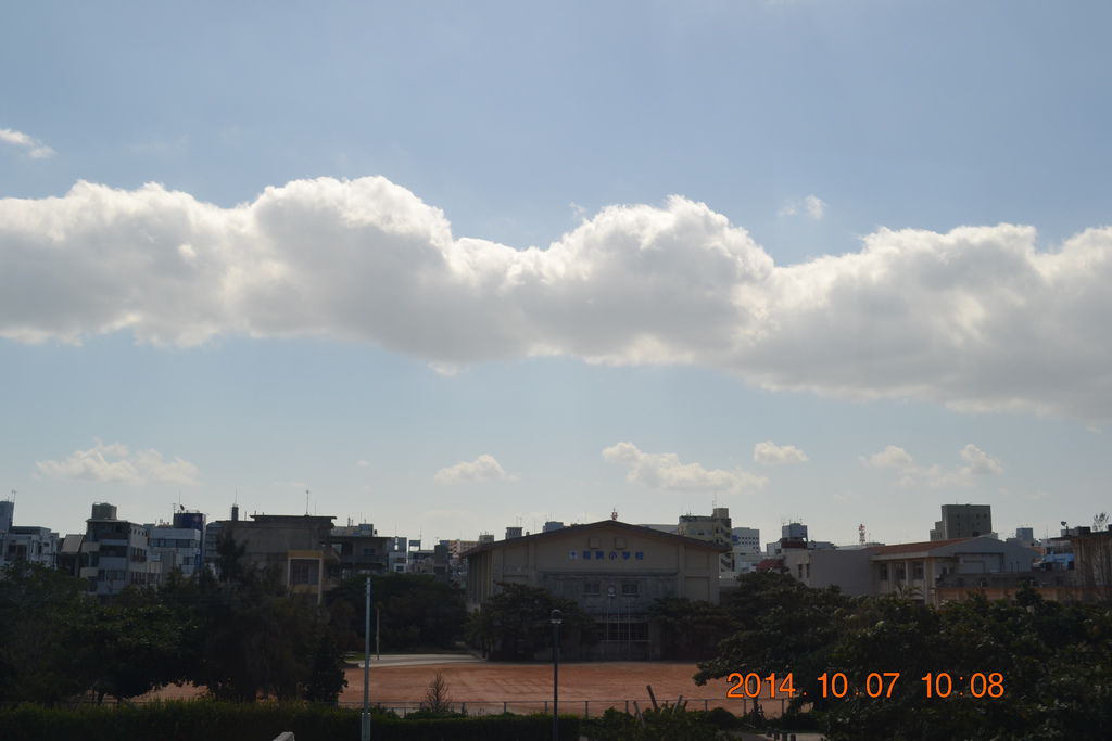 DSC_0559 DSC_0559