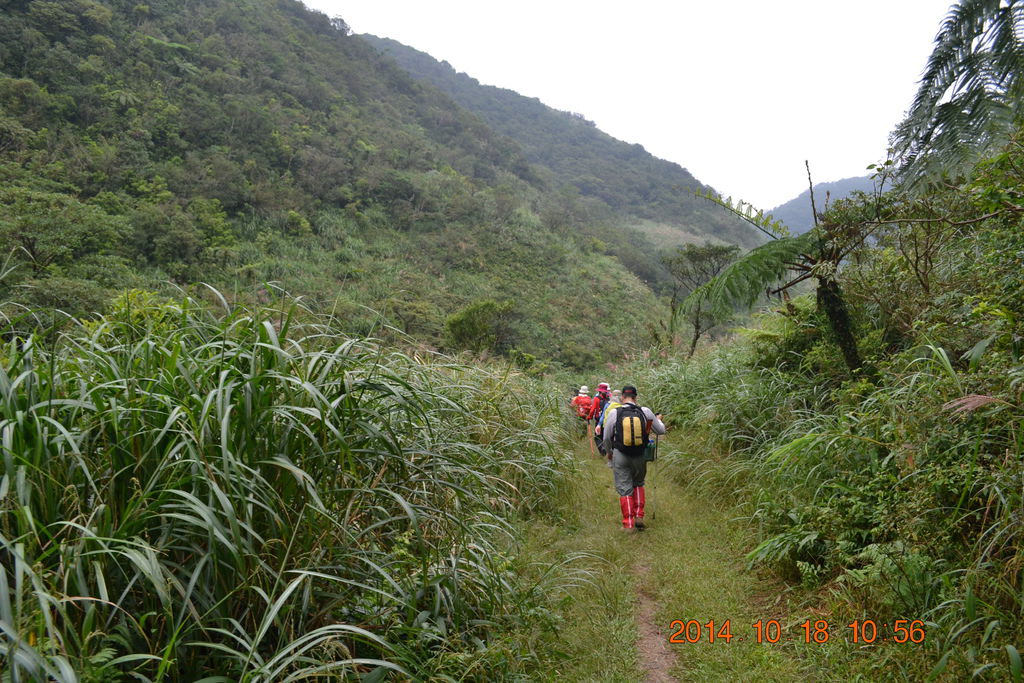 DSC_0805 DSC_0805