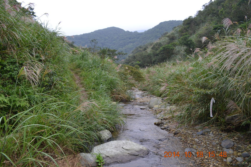DSC_0876 DSC_0876