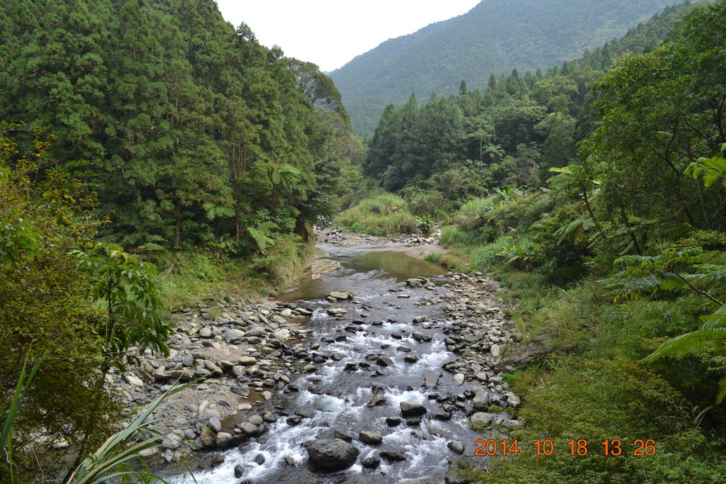 DSC_0853 DSC_0853