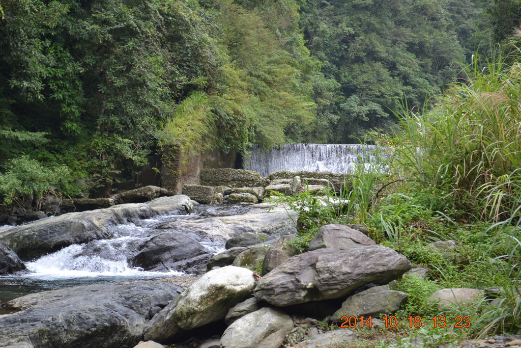 DSC_0850 DSC_0850