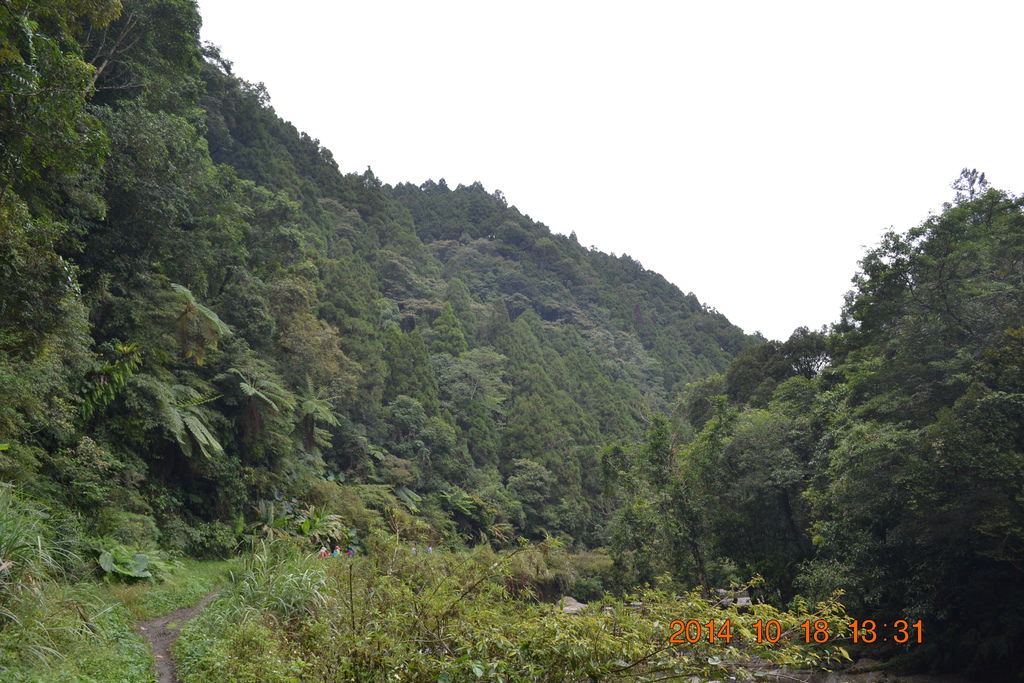 DSC_0854 DSC_0854