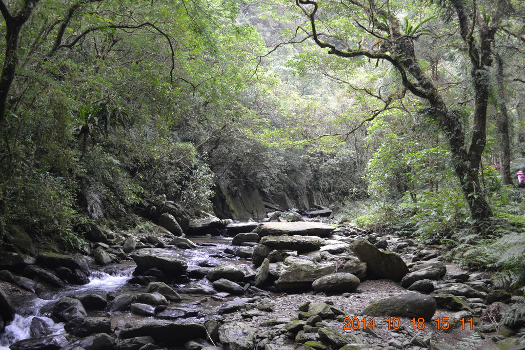 DSC_0866 DSC_0866