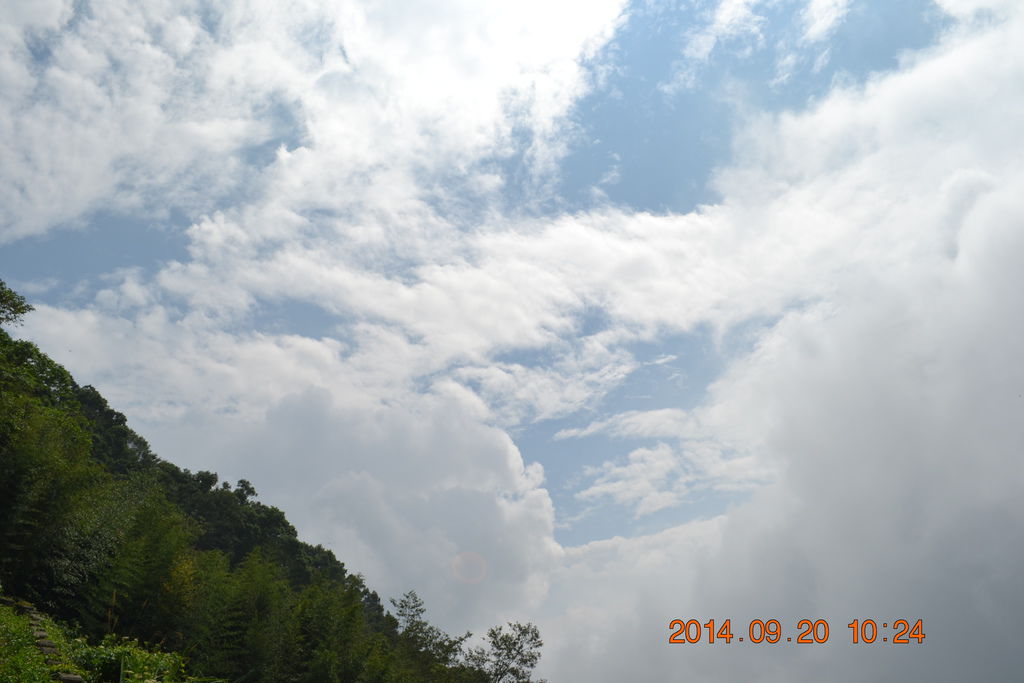 DSC_0018 DSC_0018