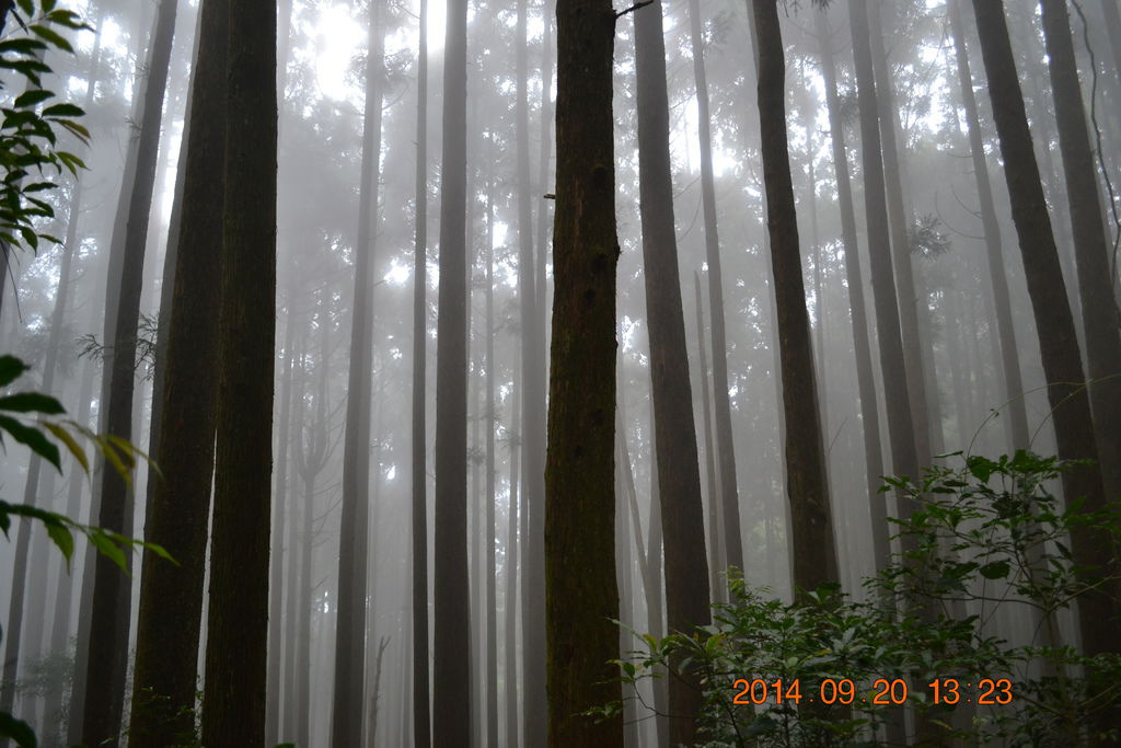 DSC_0048 DSC_0048