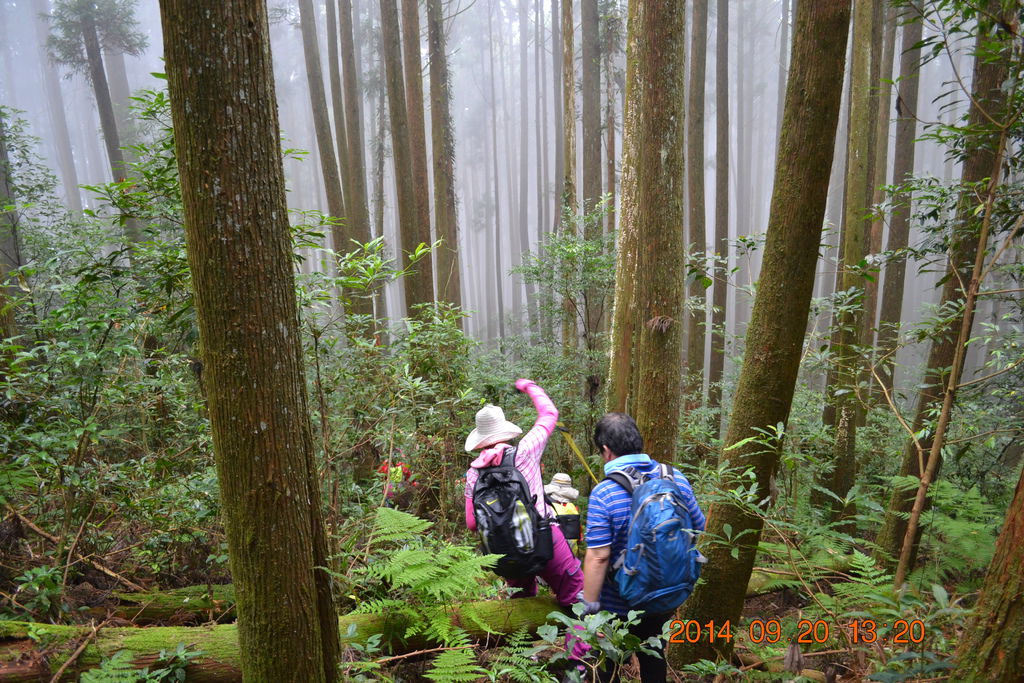 DSC_0046 DSC_0046