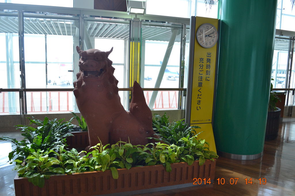 DSC_0629 DSC_0629