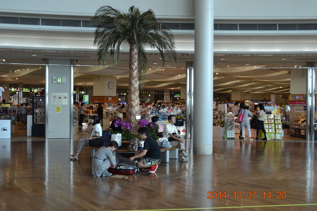 DSC_0632 DSC_0632