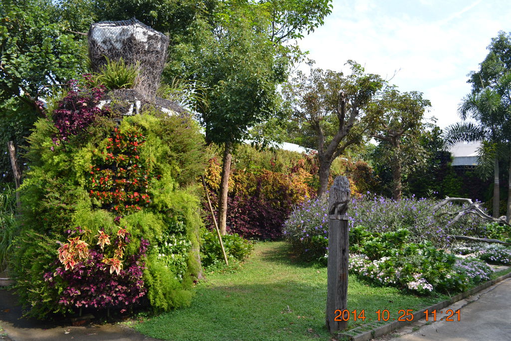 DSC_0113 DSC_0113