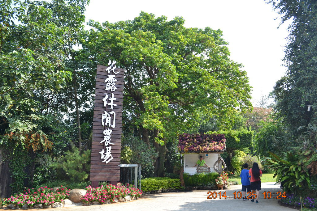 DSC_0027 DSC_0027