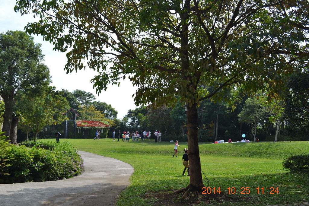 DSC_0118 DSC_0118
