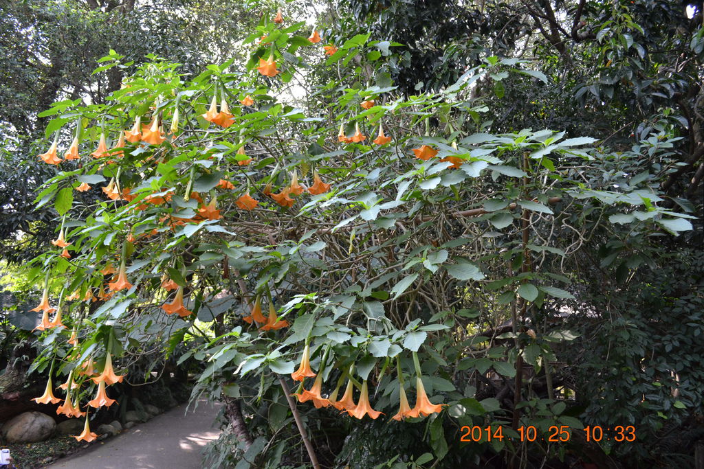 DSC_0044 DSC_0044
