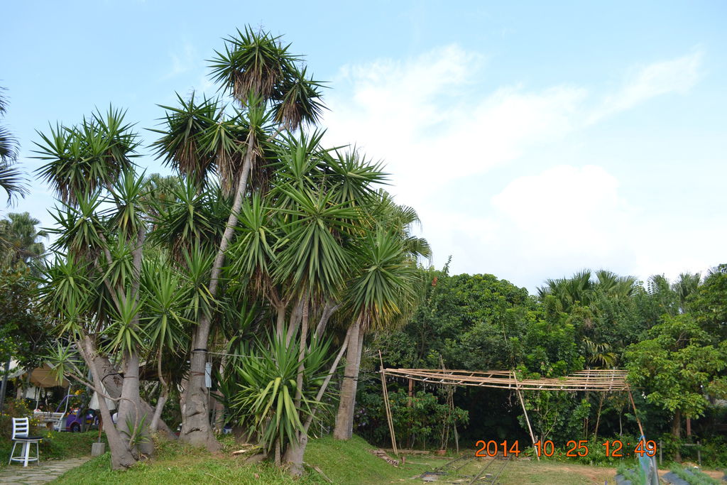 DSC_0140 DSC_0140