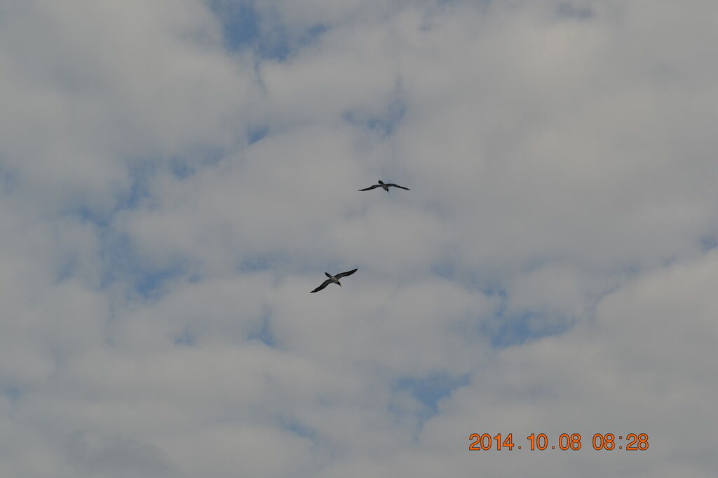 DSC_0698 DSC_0698