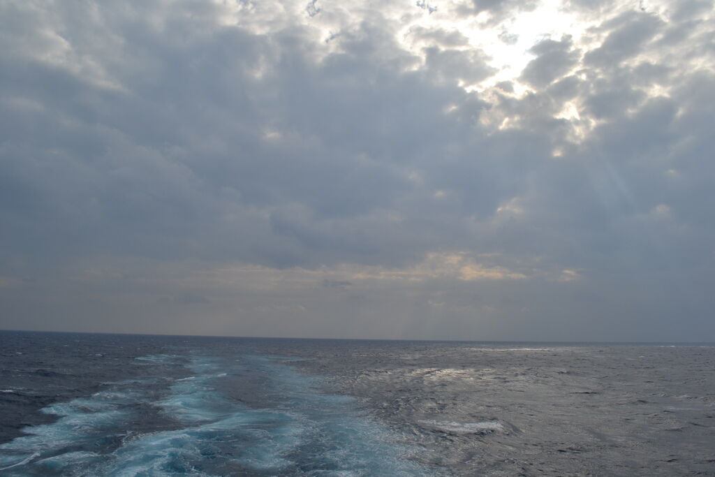 DSC_0675 DSC_0675