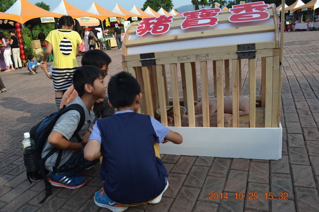 DSC_0184 DSC_0184