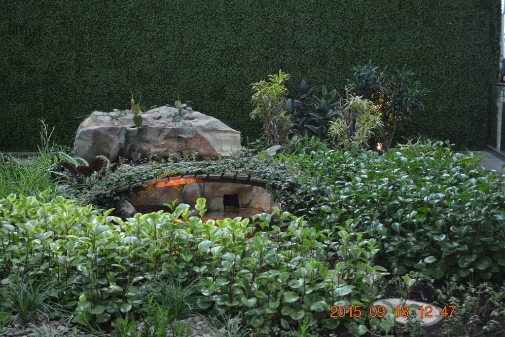 DSC_0095 DSC_0095