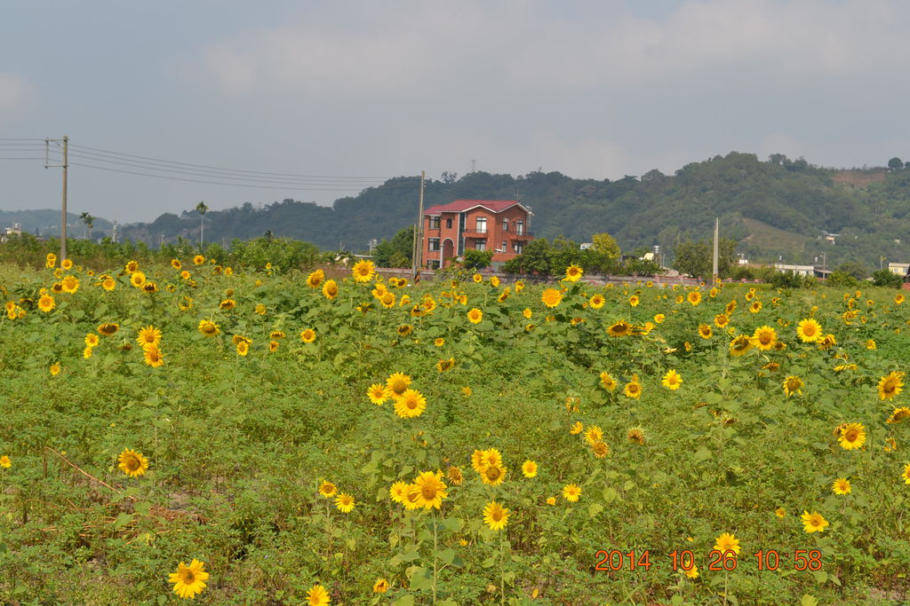 DSC_0040 DSC_0040
