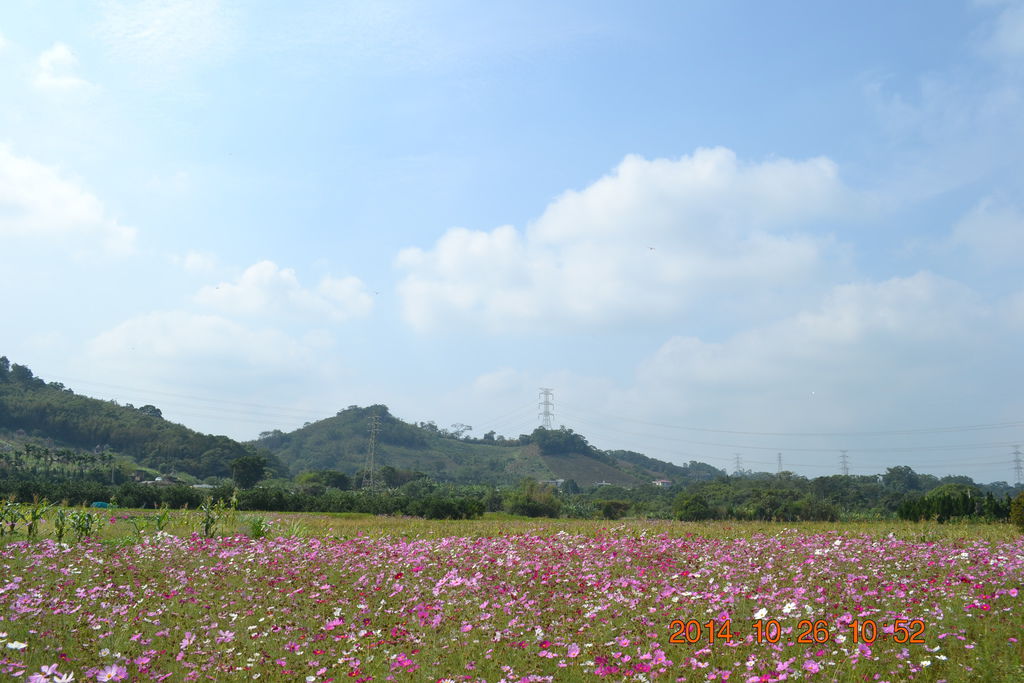 DSC_0028 DSC_0028