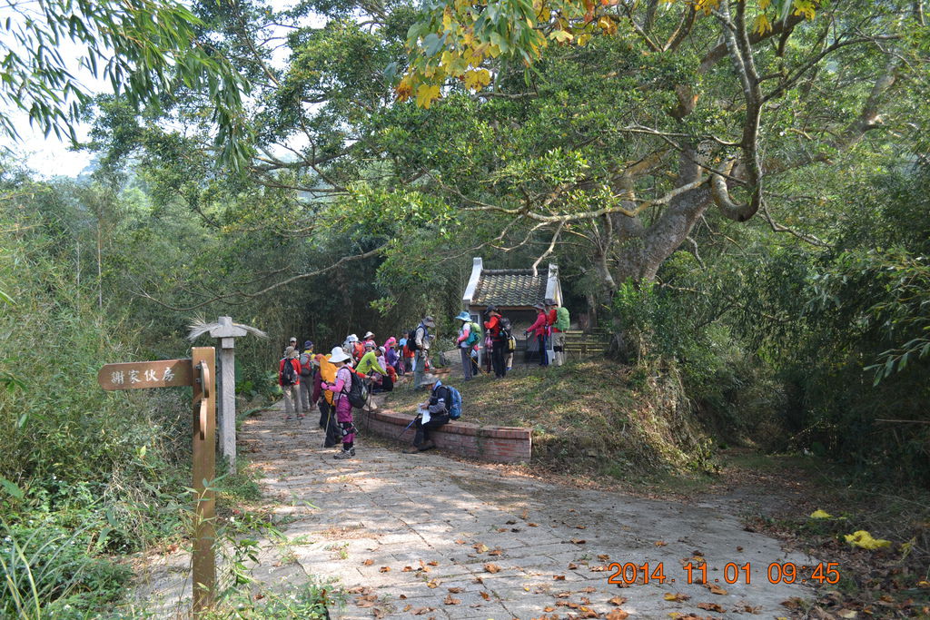 DSC_0060 DSC_0060