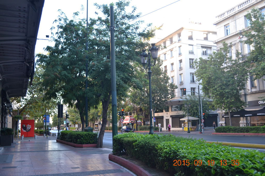 DSC_0431 DSC_0431