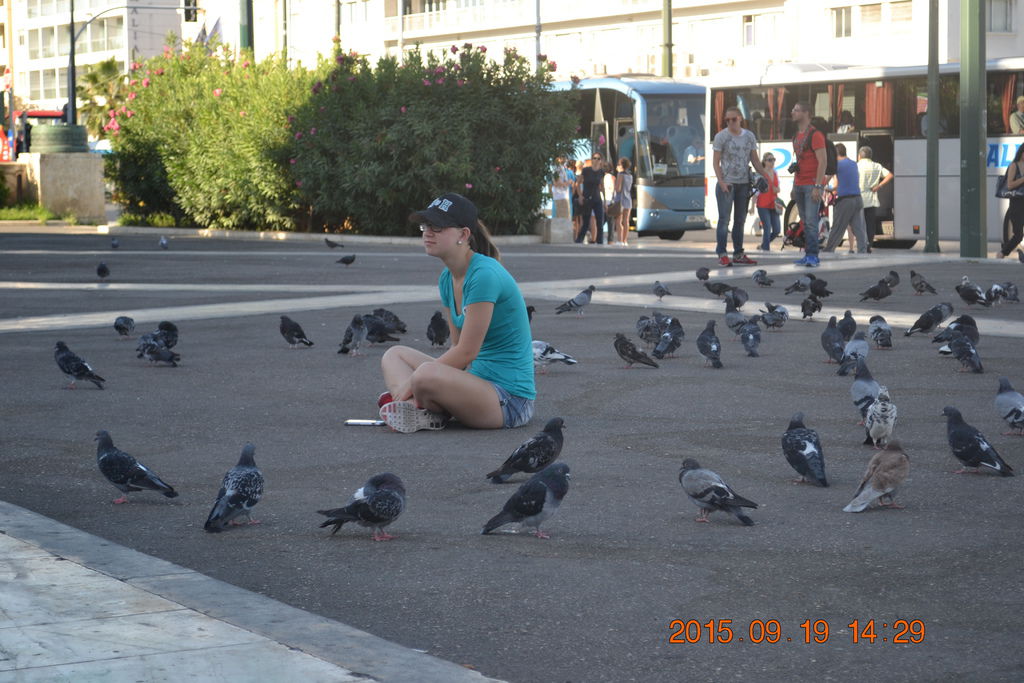 DSC_0467 DSC_0467