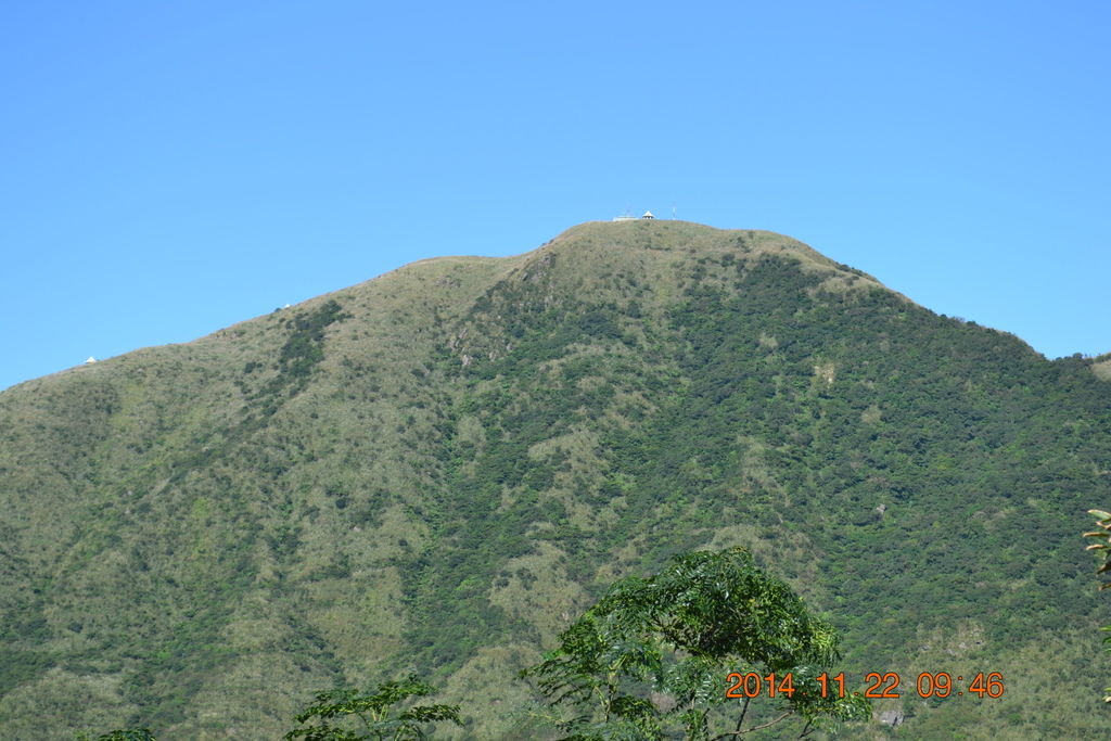 DSC_0141 DSC_0141