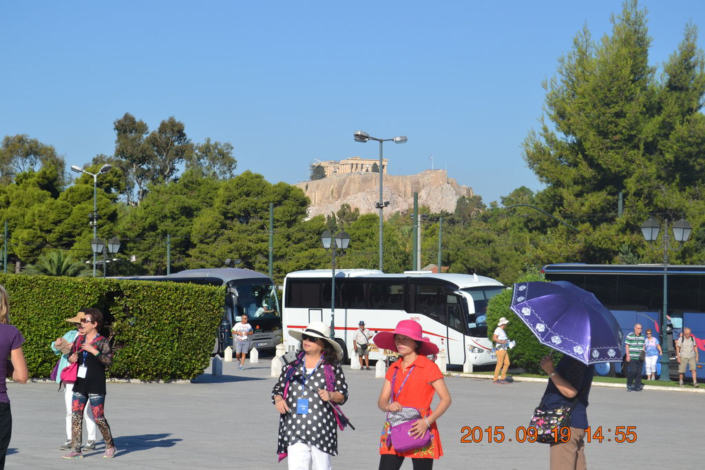 DSC_0480 DSC_0480