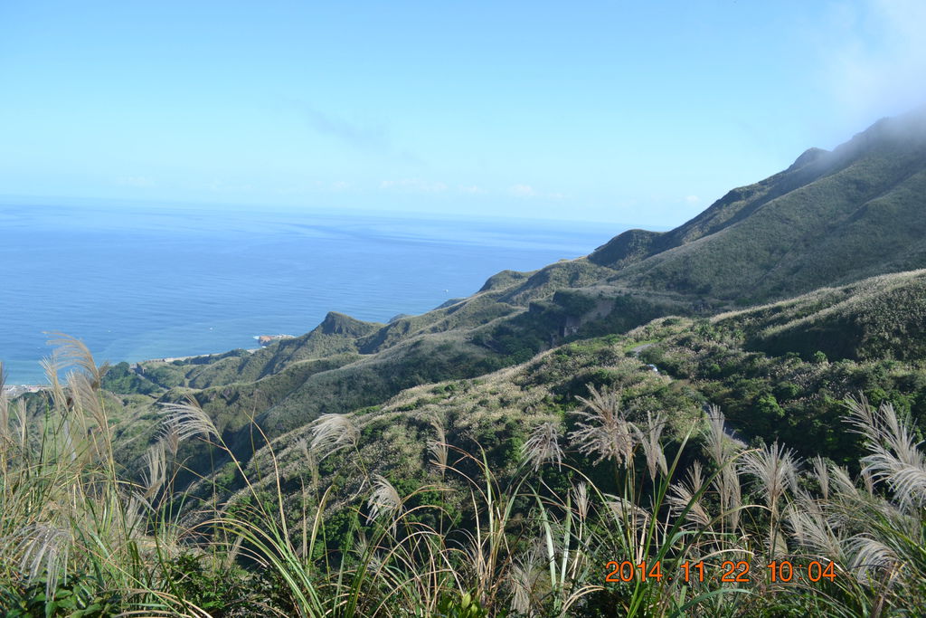 DSC_0178 DSC_0178