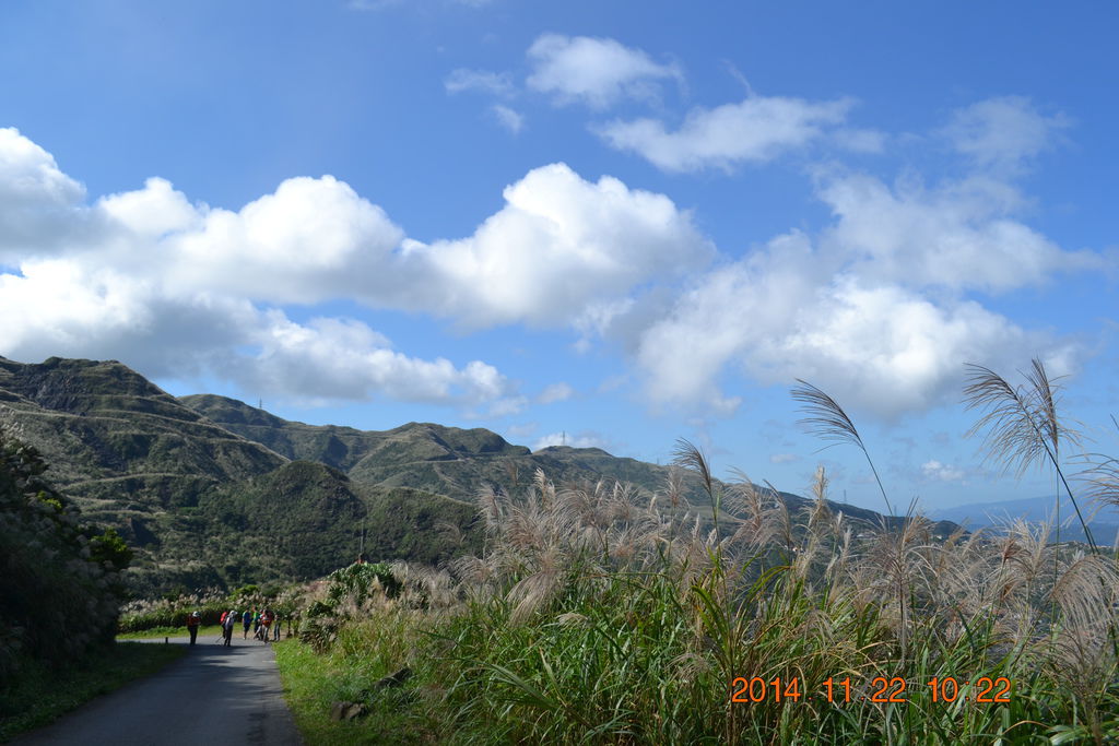 DSC_0195 DSC_0195