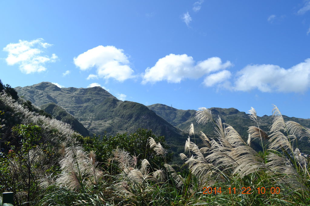 DSC_0175 DSC_0175