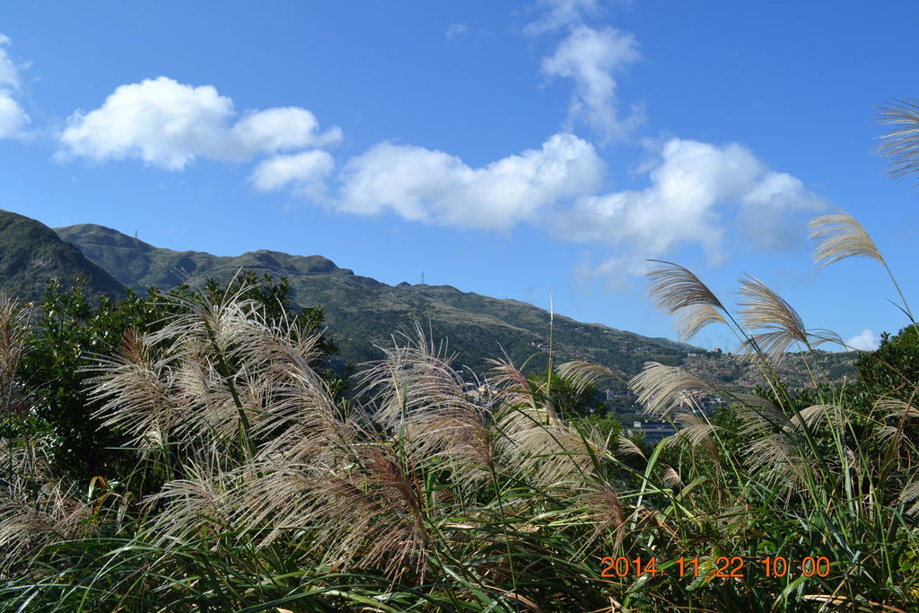 DSC_0176 DSC_0176