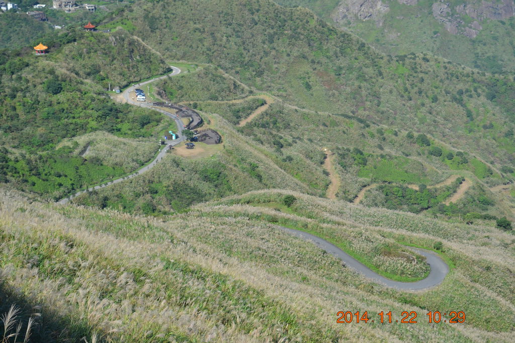 DSC_0206 DSC_0206