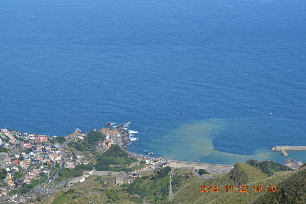 DSC_0231 DSC_0231