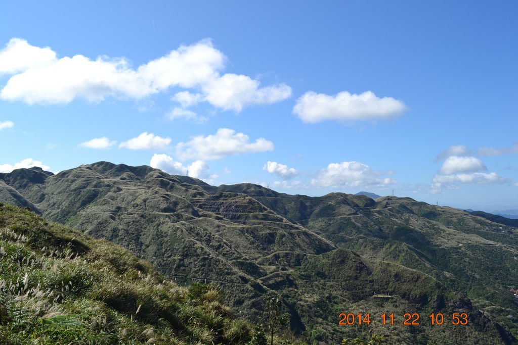 DSC_0238 DSC_0238