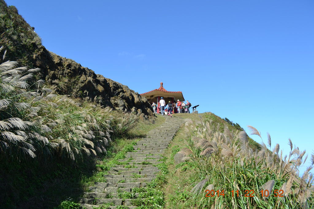 DSC_0236 DSC_0236