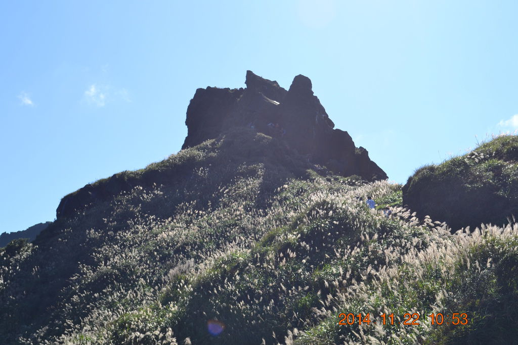DSC_0237 DSC_0237