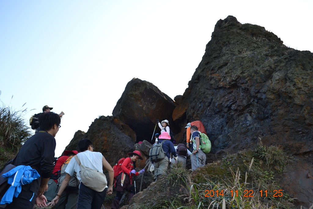 DSC_0263 DSC_0263