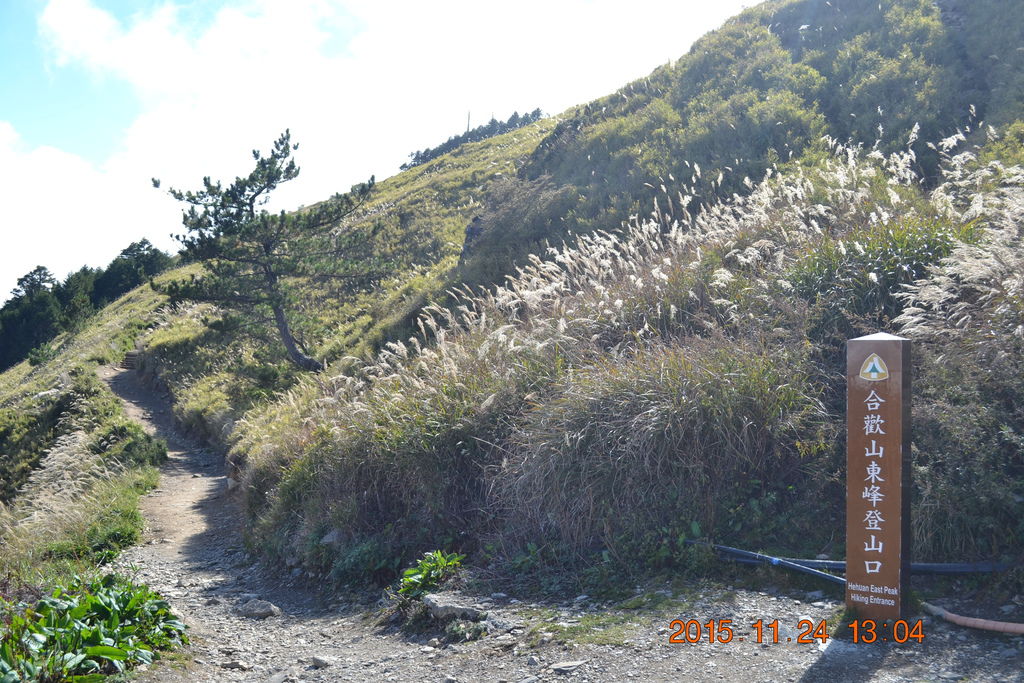 DSC_0131 DSC_0131